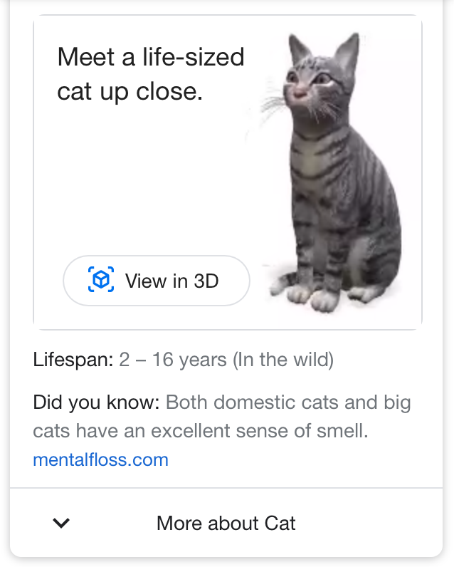 new AR feature on Google's mobile SERP