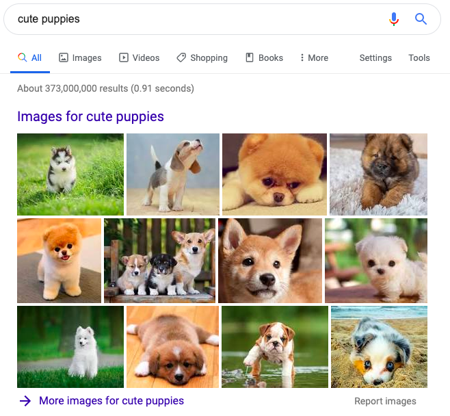 Image Pack Results For Cute Puppies